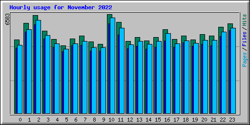 Hourly usage for November 2022