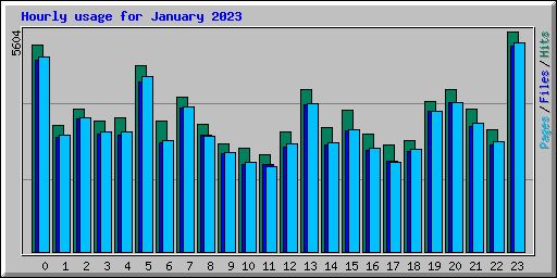 Hourly usage for January 2023