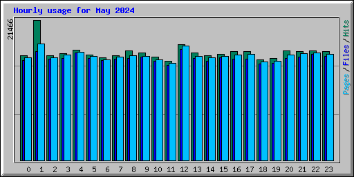 Hourly usage for May 2024