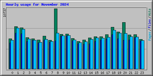 Hourly usage for November 2024