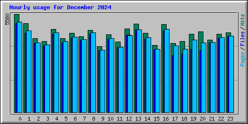 Hourly usage for December 2024