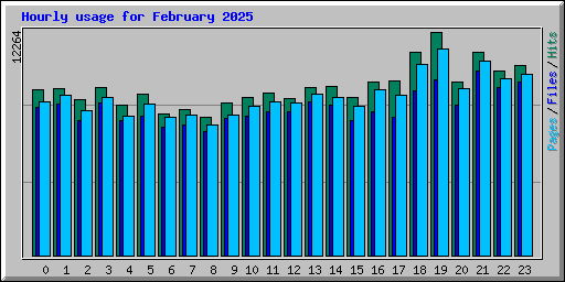 Hourly usage for February 2025