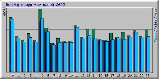 Hourly usage for March 2025