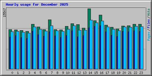 Hourly usage for December 2025