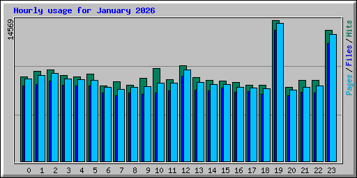 Hourly usage for January 2026